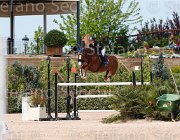 ROMANO LAS VEGAS CampITA2013- S5 0661 : Campionati Italiani 2013, Cattolica, Horse Riviera Resort, LAS VEGAS, ROMANO ROMINA, foto di Stefano Secchi ©